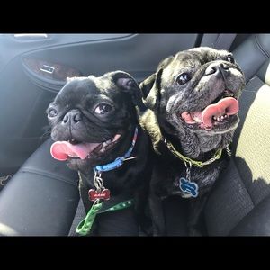 Meet your Posher, Gloria